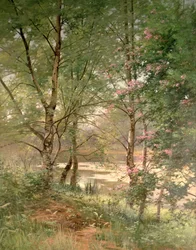 Dans un bois féerique